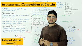 Protein Structure and Composition [upl. by Ellehcal]