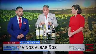 Vino Albariño [upl. by Itsirhc372]