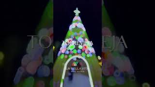 December 2022 in Torrevieja Alicante Spain 🎄 Christmas Lights [upl. by Sixel]