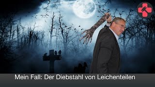 Mein Fall Der Diebstahl von Leichenteilen  EXPERTEHILFT mit Rechtsanwalt Frank Hannig [upl. by Ahsier]