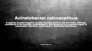 Medical vocabulary What does Acinetobacter calcoaceticus mean [upl. by Leiva]