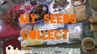 my seeds collection [upl. by Annahgiel819]