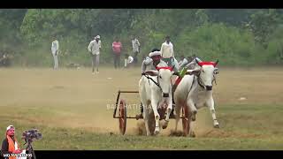 दूसरा कपल धपेरा मोहगांव All Video 🙆 Dhapera Pat 👌 Pat Pratiyogita Race 🙌 Barghati Bhaiya pat [upl. by Sheepshanks688]