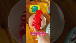 🦐🦐🦐Cubpi mistook his pair of slippers for a lobster Hilarious video toysdiy funny trending [upl. by Pierro716]