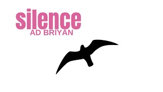 Silence lyrics video Ad Briyan [upl. by Genny]