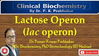 Lactose Operon Negative Inducible Operon [upl. by Zurek114]