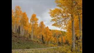 Fall in Telluride Colorado [upl. by Gnuoy]