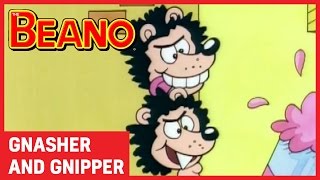 Gnasher and Gnipper  Best Bits  Beano All Stars [upl. by Gebhardt]