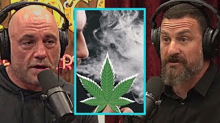 Joe Rogan and Neuroscientist Dr Huberman blow your mind about Weed and How it affects Brain and Body [upl. by Varhol]