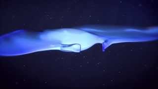 3D Animation  Organic Movement  2 Endless flight of the stingray [upl. by Shalne]