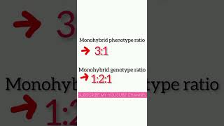 father of geneticmonohybrid genotype and phenotypic ratiobiologyshort vediosure sur [upl. by Heinrick253]