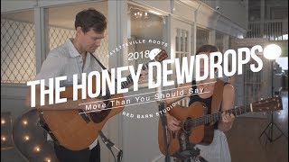 The Honey Dewdrops  More Than You Should Say Live  2108 Fayetteville Roots Festival [upl. by Aratahc]