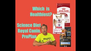 Science Diet ProPlan Royal Canin Which is healthiest for an adult dog [upl. by Aelc584]