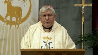 Catholic Mass Today  Daily TV Mass Friday October 25 2024 [upl. by Shaff]