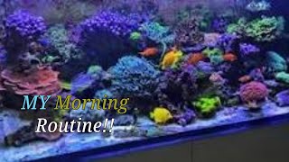 I Discovered the SECRET to a Productive Reef Tank Morning Cleaning Routine [upl. by Cresa14]