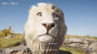 makedonian lion map location  assassins creed odyssey walkthrough guide  lone lion trophy [upl. by Acirderf]