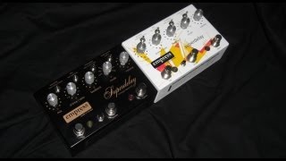 Empress  VMSD  Looper and Reverse Looping  Vintage Modified Superdelay [upl. by Aynot]