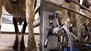 Delaval tsr [upl. by Syverson]