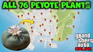 GTA Online 0 All 76 Peyote Plant locations [upl. by Dobrinsky]