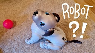 Our New Dog AIBO Pet Replacement Robot [upl. by Yedarb]