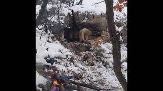 Winter Camping in Stone Shelter on Mountain Top [upl. by Sixla]