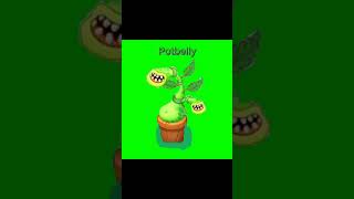 Potbelly mysingingmonsters msm [upl. by Latimer]