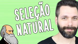 TIPOS DE SELEÇÃO NATURAL  Evolução  Biologia com Samuel Cunha [upl. by Haney]