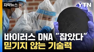 자막뉴스 국내 연구진의 놀라운 기술력 획기적으로 감염 밝혀내  YTN [upl. by Kezer]