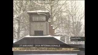 MARTURII DIN INFERN Auschwitz 27 IAN comemorare 70 de ani [upl. by Tonkin]