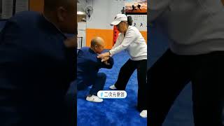 Chinese Kung Fu grappling technique essential forG27420 [upl. by Schoenburg]