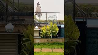 Calmness of the Rain 🌧️ is Awesome 🤩 sometimes  rain chennairains shorts shortsvideo chennai [upl. by Aivax]