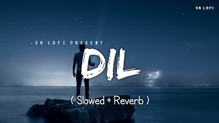 Dil  Lofi Slowed  Reverb  Raghav Chaitanya  SR Lofi [upl. by Nord533]