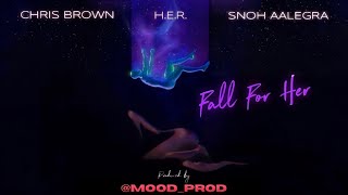 Chris Brown  Fall For Her Visualizer ft HER amp Snoh Aalegra Produced by Mood Prod [upl. by Giacopo287]