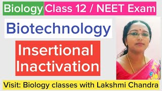 Insertional Inactivation  Bluewhite selection  Class 12 Biology  NEET Biology [upl. by Aicert]