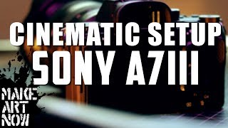 SONY A7III SETUP ALL CINEMATIC FUNCTIONS [upl. by Brozak]