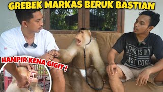 GREBEK MARKAS BASTIAN ‼️ BERUK SUPER PINTAR [upl. by Repsihw]