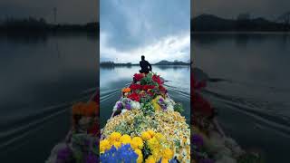 Kashmir dal lake ❤️💐🏔️dallakekashmir kashmir shots viralshort video viralvideo [upl. by Aikram702]