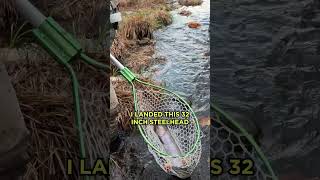 Catch MONSTER Steelhead on a Fly Rod in Pulaski NY [upl. by Boice451]