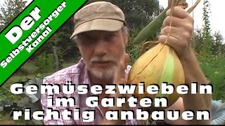 Gemüsezwiebeln im Garten richtig anbauen [upl. by Cowan]