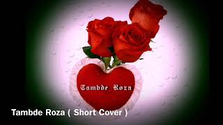 Tambde Roza  Cover By Voller Dcosta [upl. by Breh]