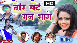 SINGER FULLMANI DEVI NEW NAGPURI VIDEO [upl. by Hootman99]