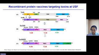 Recombinant fusion protein vaccine containing Clostridioides difficileFliC [upl. by Joab21]