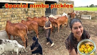 Cow milking ka kaam abb bharti ko karna padega gaushala me gircow cowmilkingbyhand [upl. by Tripp]