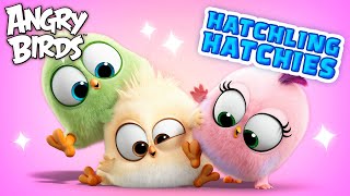 Angry Birds Hatchling Hatchies  Love and Compassion 💖🥰 [upl. by Sungam]