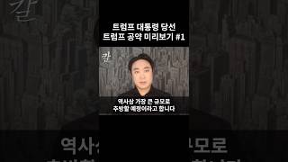 트럼프 공약 미리보기 1  이민과 세금 트럼프 미국대선 법인세 해리스 [upl. by Assirok213]