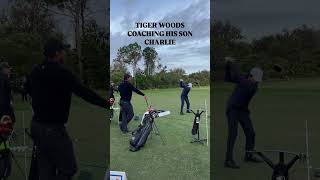 Rate Charlie Woods Golf Swing 😳 tigerwoods charliewoods pgatour [upl. by Retep382]