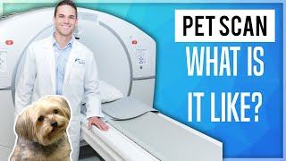 PET Scan What Is It Like [upl. by Dhaf]