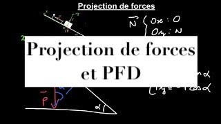 Méthodes scientifiques  projection de forces et principe fondamental de la dynamique [upl. by Aisenet]