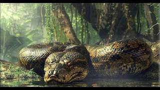 How they escape from the biggest Anaconda ANACONDA 2024 MOVIE CLIP HD [upl. by Yahsel501]