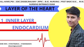 ENDOCARDIUM  INNER LAYER OF THE HEART [upl. by Aneekat470]